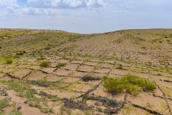 China_Completes_3_046_km_Green_Belt_Encircling_Taklimakan_Desert