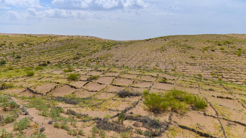 China_Completes_3_046_km_Green_Belt_Encircling_Taklimakan_Desert - Khabar Asia China_Completes_3_046_km_Green_Belt_Encircling_Taklimakan_Desert