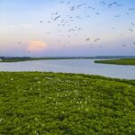 China Completes First Carbon Credits Deal in Revamped Voluntary Market