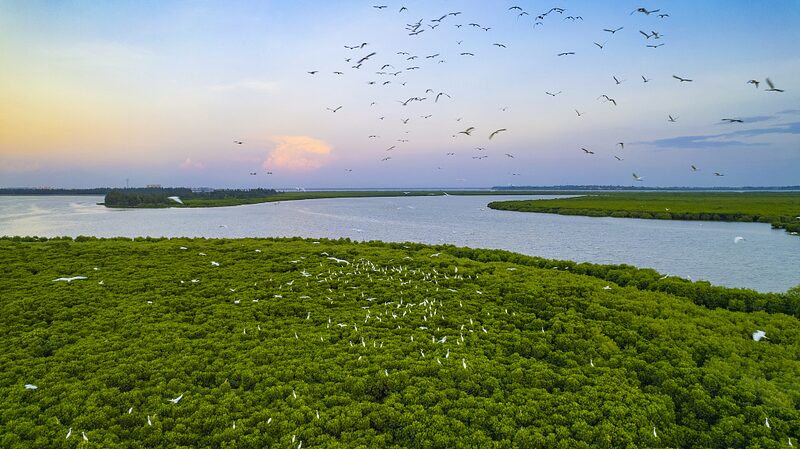 China_Completes_First_Carbon_Credits_Deal_in_Revamped_Voluntary_Market - Khabar Asia China Completes First Carbon Credits Deal in Revamped Voluntary Market
