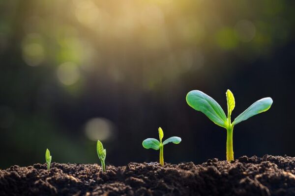 China Completes Sampling in Third National Soil Survey China_Completes_Sampling_in_Third_National_Soil_Survey