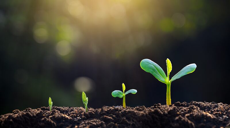 China_Completes_Sampling_in_Third_National_Soil_Survey - Khabar Asia China_Completes_Sampling_in_Third_National_Soil_Survey