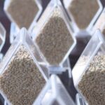 China Concludes Extensive Survey of Agricultural Germplasm Resources