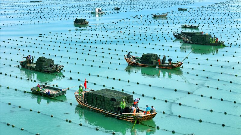 China_Expands_Deep_Sea_Aquaculture_for_Sustainable_Fisheries_Future-1 - Khabar Asia China_Expands_Deep_Sea_Aquaculture_for_Sustainable_Fisheries_Future