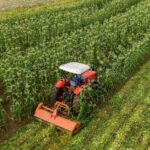 China_Grants_Zero_Tariff_Access_to_33_African_Countries_Starting_December_2024