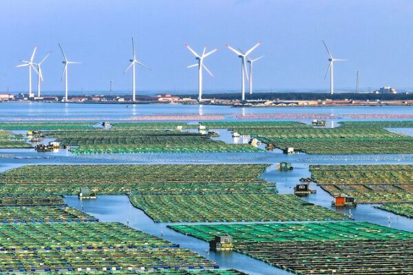 China_Highlights_Tech_Driven_Growth_and_Green_Transition_at_Davos_2025