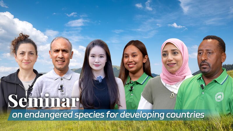 China_Hosts_Seminar_on_Endangered_Species_Protection_with_Developing_Nations_poster - Khabar Asia China_Hosts_Seminar_on_Endangered_Species_Protection_with_Developing_Nations video poster