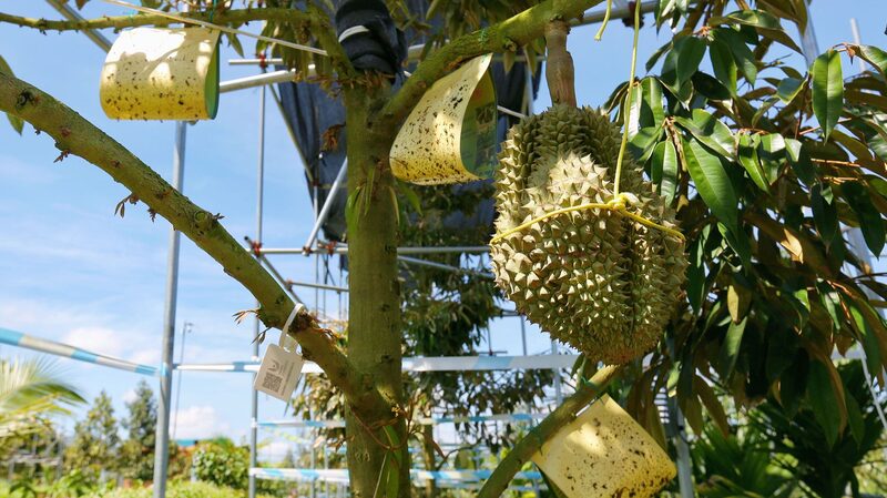 China_Introduces_Carbon_Footprint_Labels_to_Promote_Greener_Farming