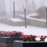China Issues Highest Alert as Severe Cold Wave Sweeps Across the Nation