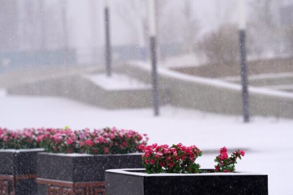 China Issues Highest Alert as Severe Cold Wave Sweeps Across the Nation