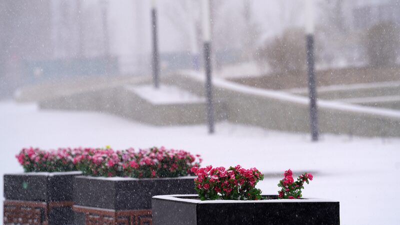 China_Issues_Highest_Alert_as_Severe_Cold_Wave_Sweeps_Across_the_Nation - Khabar Asia China Issues Highest Alert as Severe Cold Wave Sweeps Across the Nation