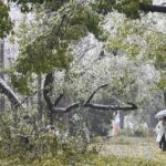 China Issues Highest Cold Wave Alert as Temperatures Plunge Nationwide