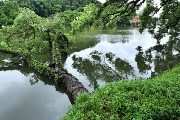 China Issues Orange Alert as Heavy Rainstorms Sweep Across the Country China_Issues_Orange_Alert_as_Heavy_Rainstorms_Sweep_Across_the_Country