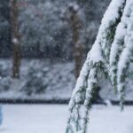 China_Issues_Yellow_Alert_as_Temperatures_Expected_to_Plummet - Khabar Asia China Issues Yellow Alert as Temperatures Expected to Plummet