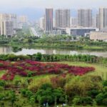 China Issues Yellow Rainstorm Alert: Heavy Downpours Expected Across Southern Regions