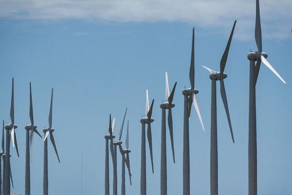 China_Latin_America_Partnership__A_Catalyst_for_Global_Sustainable_Development