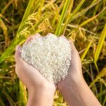 China_Launches_Action_Plan_to_Reduce_Food_Loss_and_Waste_by_2027