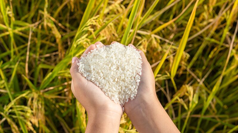 China_Launches_Action_Plan_to_Reduce_Food_Loss_and_Waste_by_2027 - Khabar Asia China_Launches_Action_Plan_to_Reduce_Food_Loss_and_Waste_by_2027