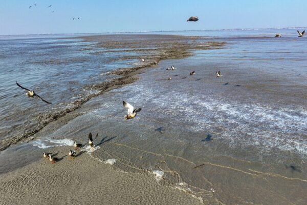 China Launches Four-Month Spring Fishing Ban to Conserve Biodiversity China Launches Four-Month Spring Fishing Ban to Conserve Biodiversity