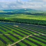 China_Launches_Guidelines_for_Green_Transition_Amid_Global_Energy_Challenges