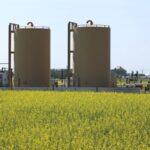 China_Launches_Probes_Over_Canada_s_Tariff_Hikes_on_Electric_Vehicles_and_Commodities