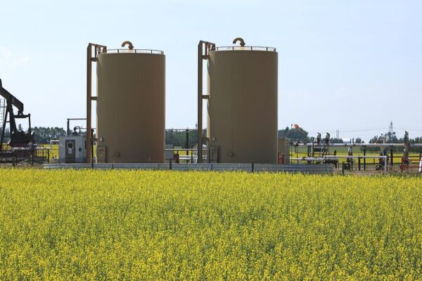 China Launches Probes Over Canada’s Tariff Hikes on Electric Vehicles and Commodities China_Launches_Probes_Over_Canada_s_Tariff_Hikes_on_Electric_Vehicles_and_Commodities
