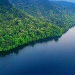 China Leads Global Greening with Significant Forest Expansion video poster