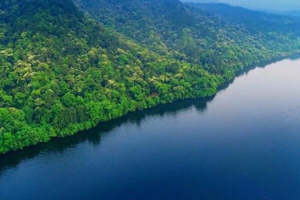 China Leads Global Greening with Significant Forest Expansion China Leads Global Greening with Significant Forest Expansion video poster