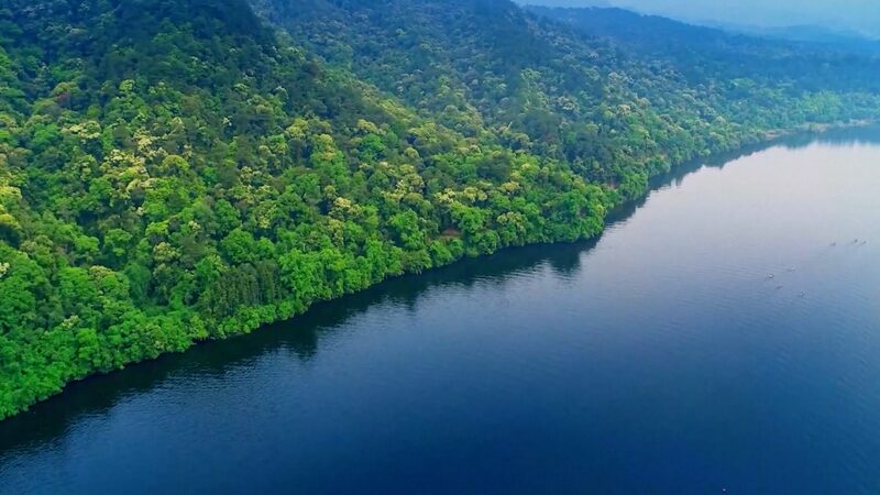 China Leads Global Greening with Significant Forest Expansion video poster