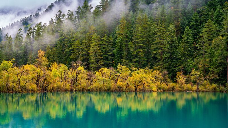 China_Leads_World_in_Forest_and_Grassland_Carbon_Sink_Capacity - Khabar Asia China_Leads_World_in_Forest_and_Grassland_Carbon_Sink_Capacity