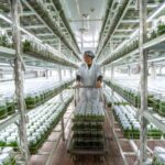 China Marks Third Anniversary of Poverty Alleviation Triumphs