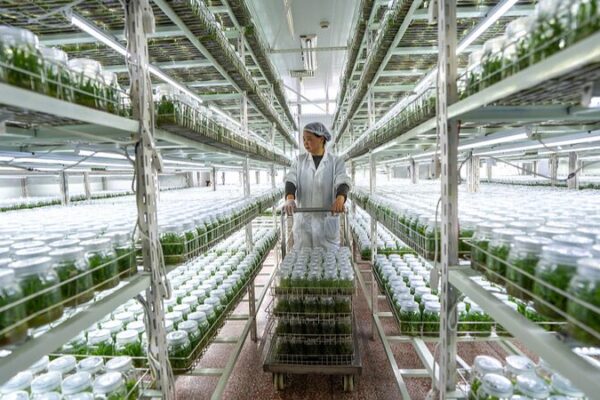 China Marks Third Anniversary of Poverty Alleviation Triumphs