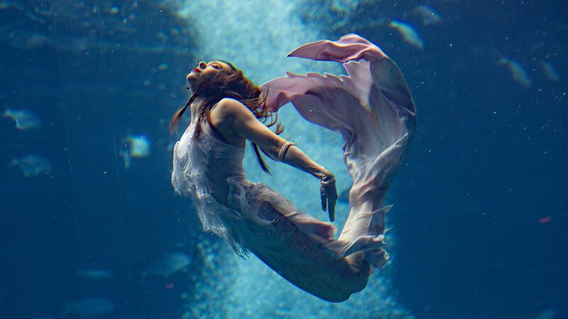 China_Mermaid_Open_and_Asia_Cup_Conclude_at_Atlantis_Sanya_poster - Khabar Asia China_Mermaid_Open_and_Asia_Cup_Conclude_at_Atlantis_Sanya video poster