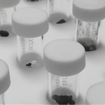 China_Opens_Applications_for_Lunar_Samples_from_Chang_e_6_and_Chang_e_5_Missions