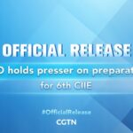 China Prepares for 6th International Import Expo: SCIO Press Conference Highlights video poster