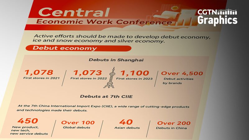 China_Prioritizes_Boosting_Consumption_and_Domestic_Demand_in_2025_Economic_Agenda