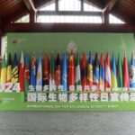 China Reaffirms Commitment to Global Biodiversity Conservation video poster