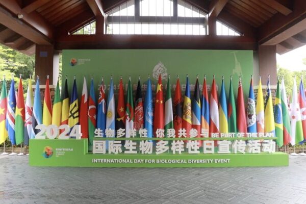 China_Reaffirms_Commitment_to_Global_Biodiversity_Conservation_poster - Khabar Asia China Reaffirms Commitment to Global Biodiversity Conservation video poster