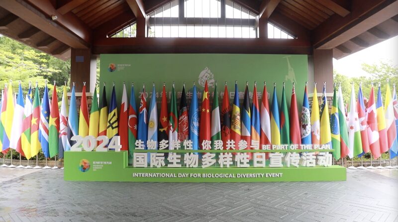 China_Reaffirms_Commitment_to_Global_Biodiversity_Conservation_poster - Khabar Asia China Reaffirms Commitment to Global Biodiversity Conservation video poster