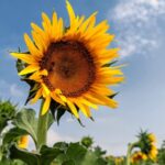 China_Records_Warmest_Autumn_Since_1961