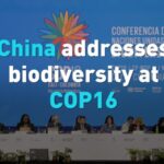 China_Reinforces_Commitment_to_Biodiversity_at_COP16_in_Colombia video poster