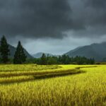 China Renews Blue Alert as Heavy Rainstorms Expected