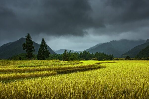 China Renews Blue Alert as Heavy Rainstorms Expected China Renews Blue Alert as Heavy Rainstorms Expected