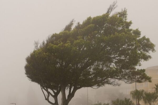 China Renews Blue Alert for Gales Across Multiple Regions