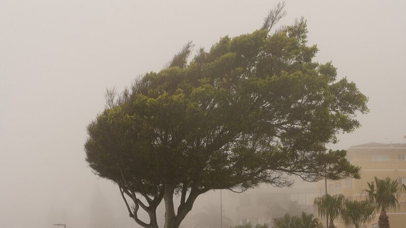 China Renews Blue Alert for Gales Across Multiple Regions