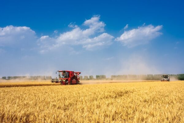 China_Reports_Steady_Progress_in_Agricultural_Green_Development