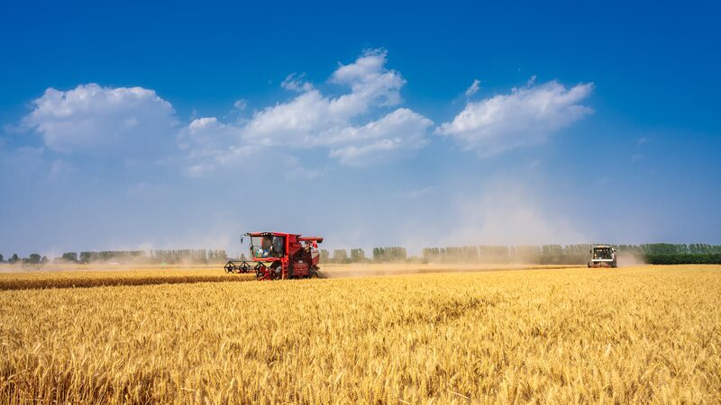 China_Reports_Steady_Progress_in_Agricultural_Green_Development