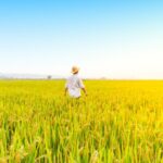 China_Reverses_Farmland_Decline_with_Three_Years_of_Growth