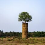 China Sets Carbon Reduction Targets for Cement Industry