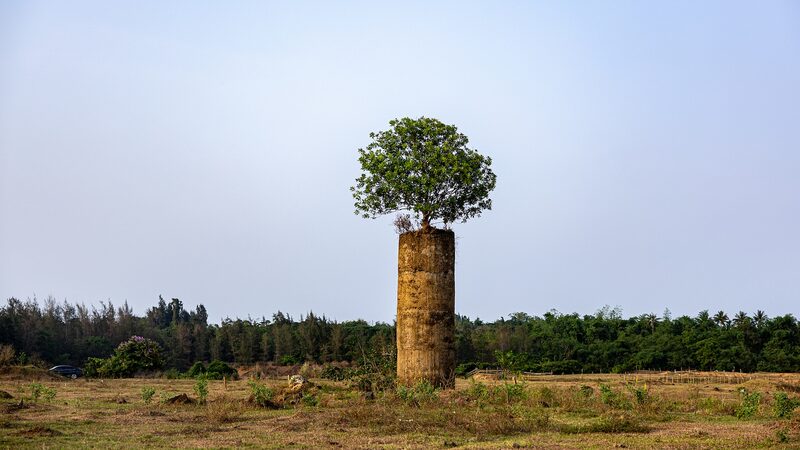 China_Sets_Carbon_Reduction_Targets_for_Cement_Industry - Khabar Asia China Sets Carbon Reduction Targets for Cement Industry